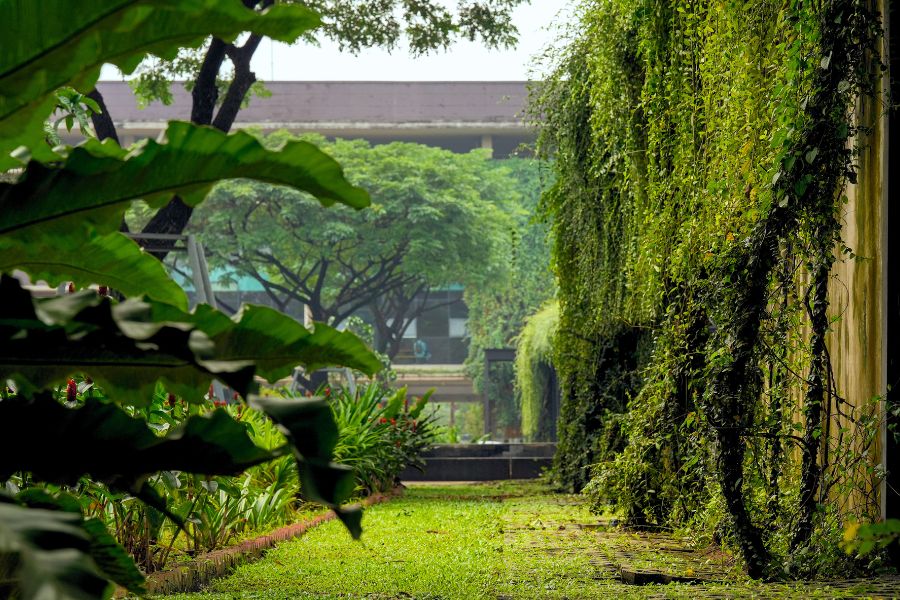 Giới thiệu về green giving