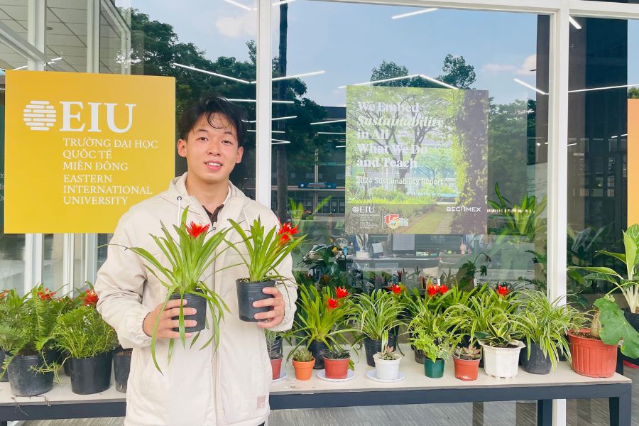 Góc cây xanh green giving