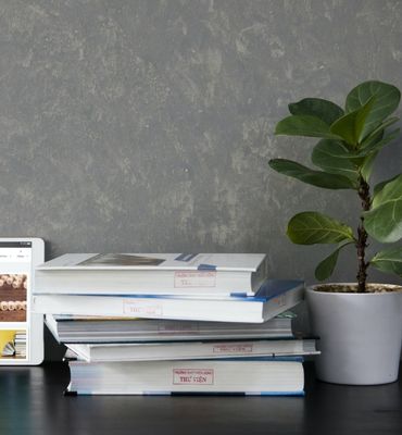 Quy định và chính sách hỗ trợ