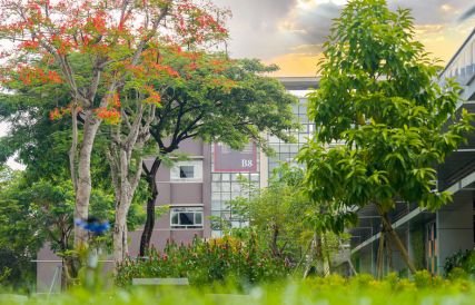 Thư viện ảnh video EIU